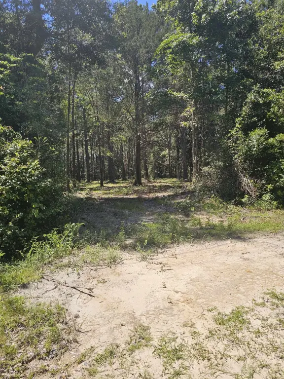Picture 17