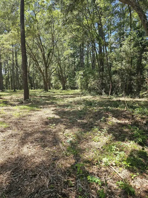 Picture 12