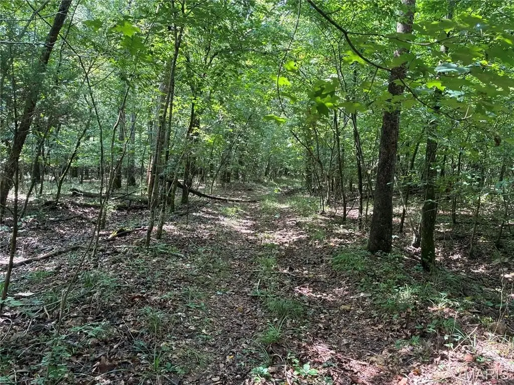 Picture 23