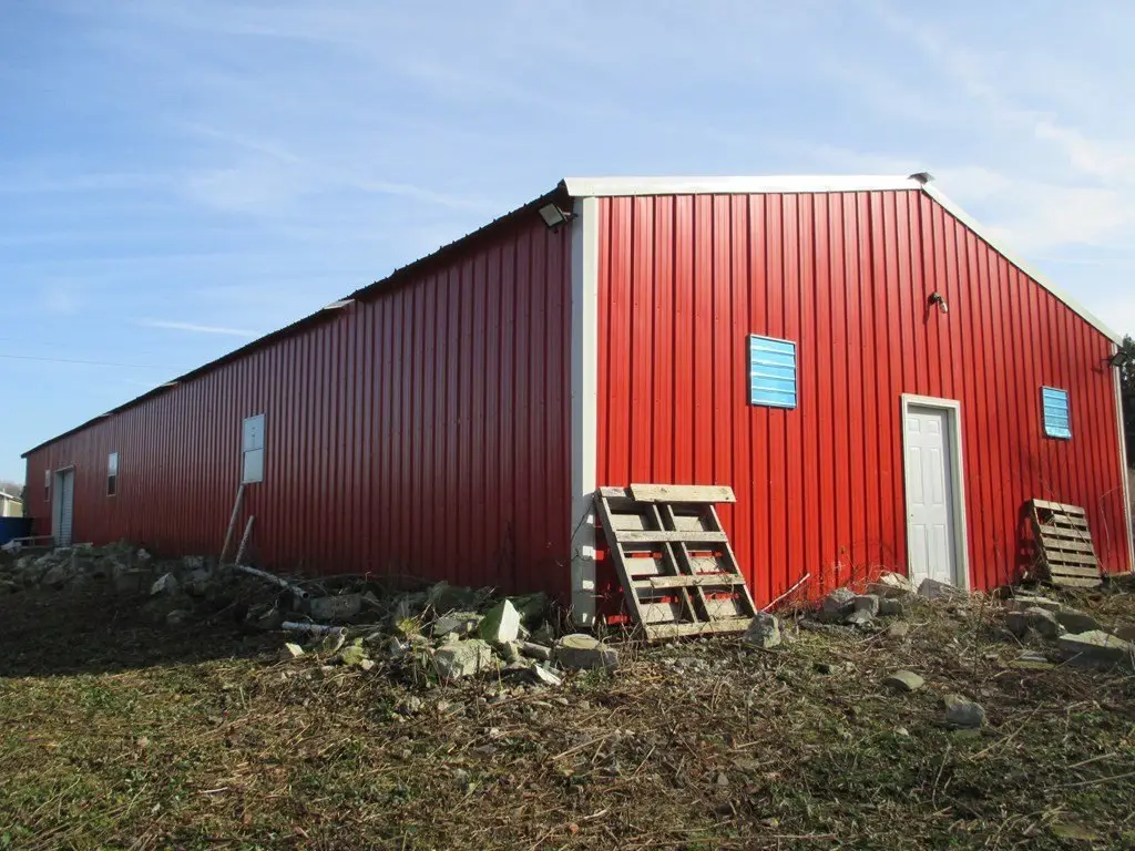 Picture 14