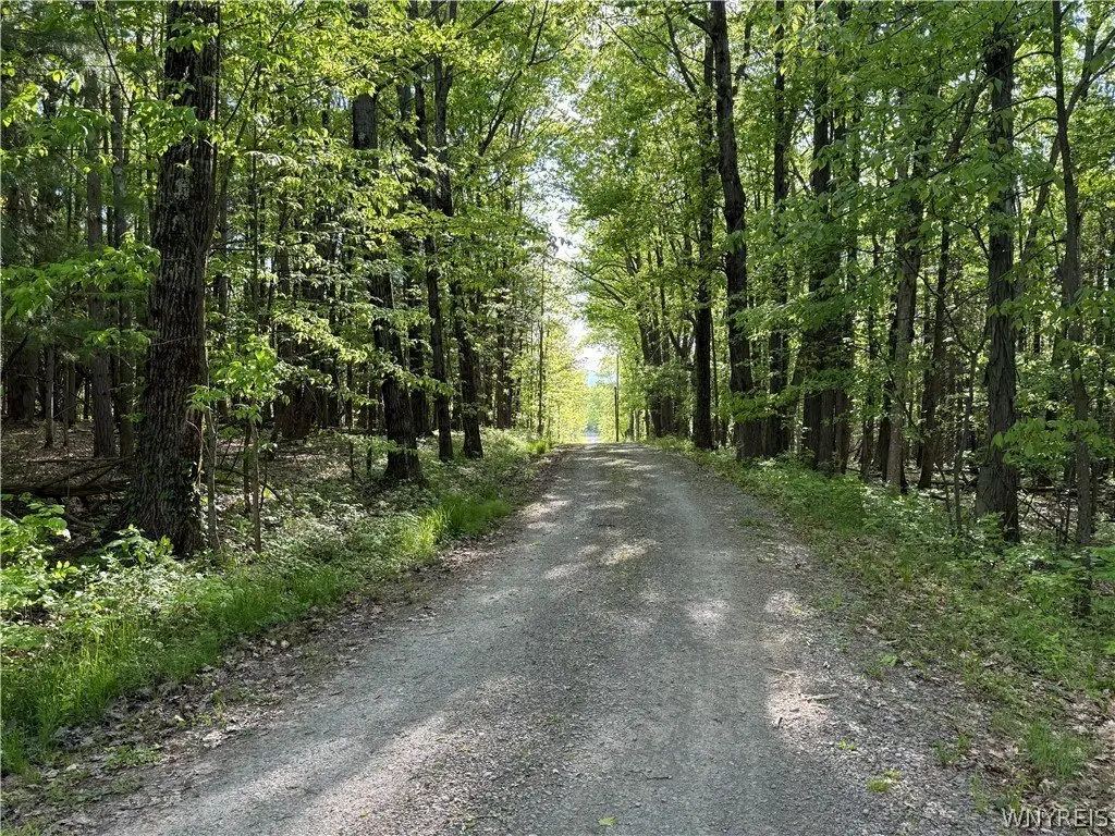 Picture 31