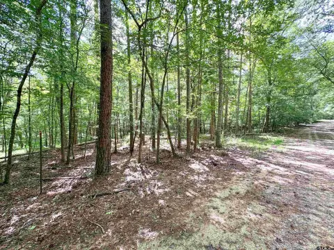 Frankston, Texas Mini Ranch