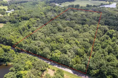 Mineola Timbered Land For Sale