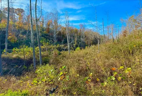 Vacant Wooded Land in Kentucky