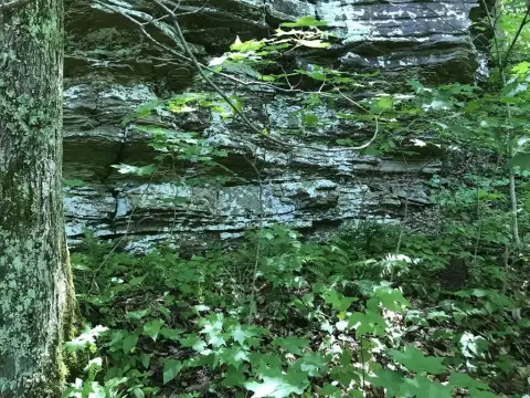 Recreational Land with Caves and Creeks