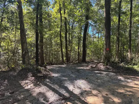 Wooded Land Near Ohio River