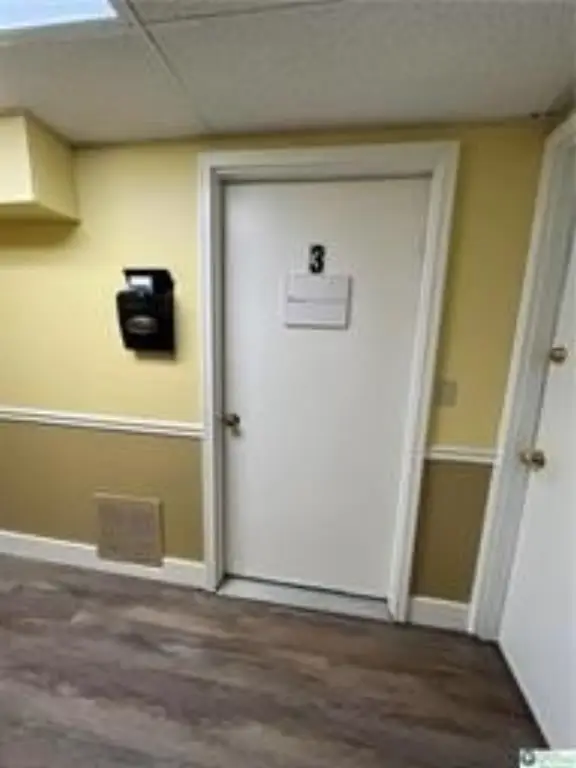 Picture 5