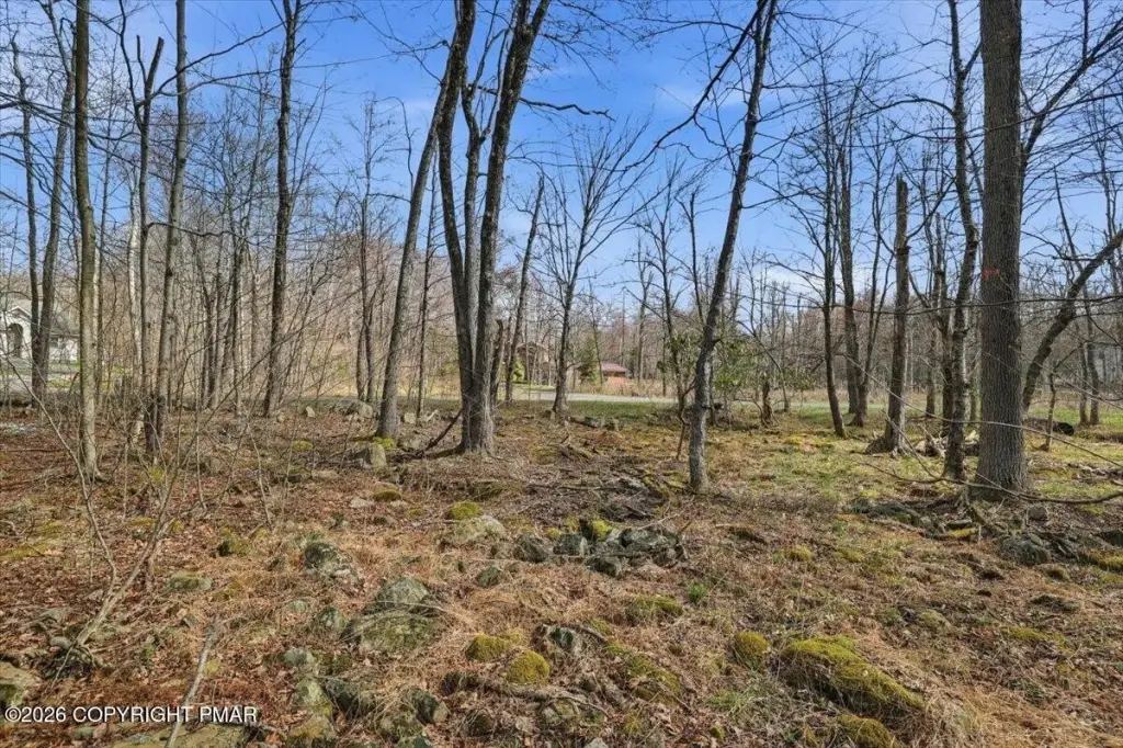 Picture 11