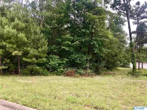 Wooded Lot in Raintree Subdivision