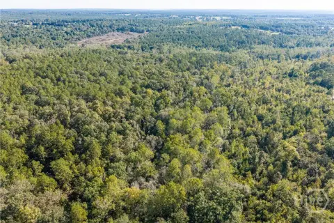 Wooded Hunting Land