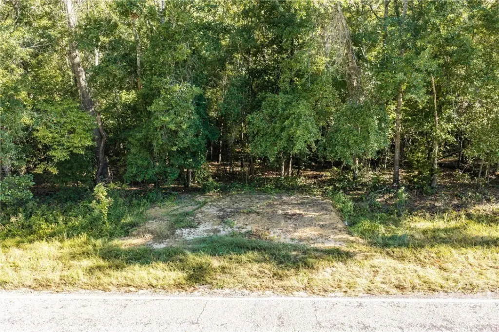 Picture 2