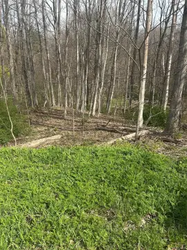 Undeveloped Land in Holmes, NY