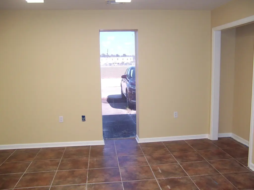 Picture 8