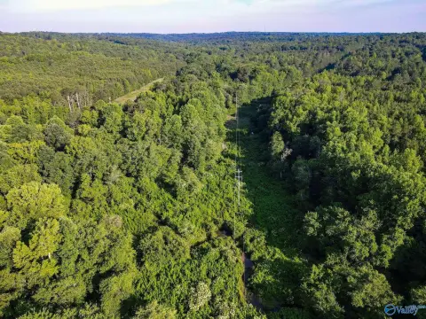 30 Acres Land in Fort Payne