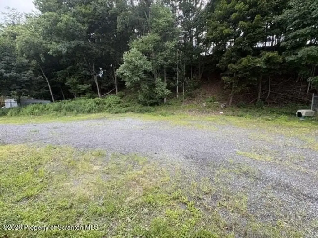 Picture 12