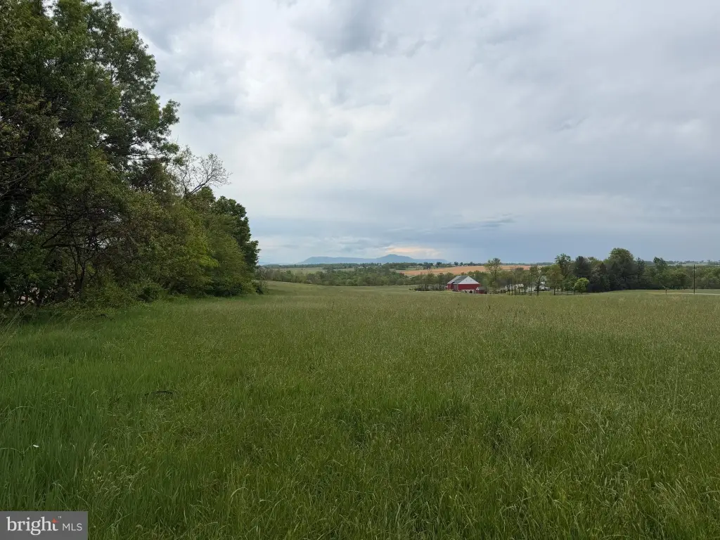 Picture 42