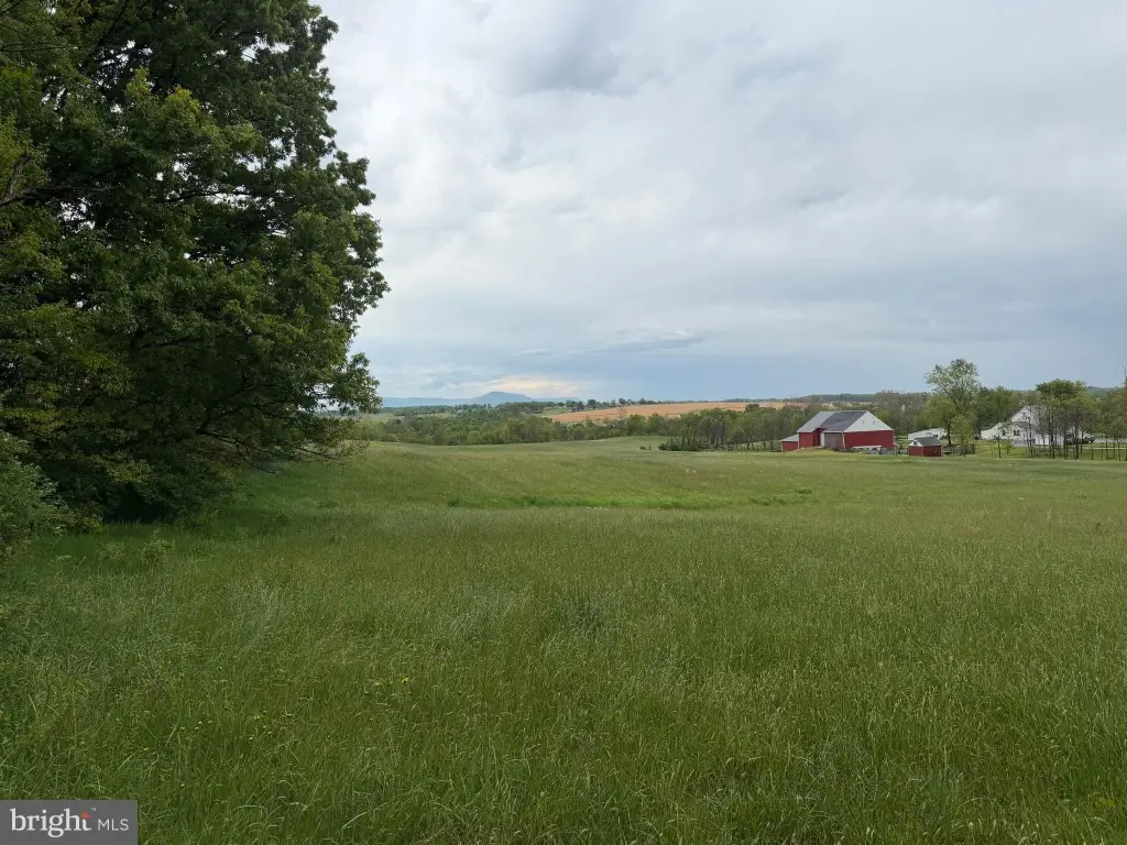 Picture 46