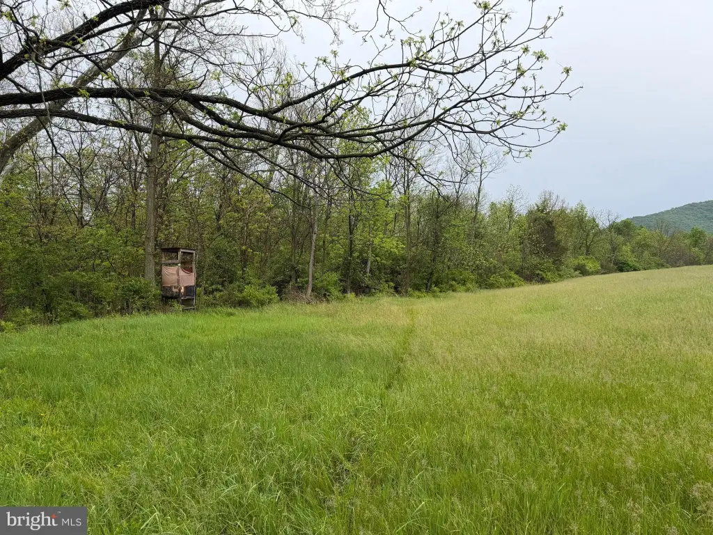 Picture 36