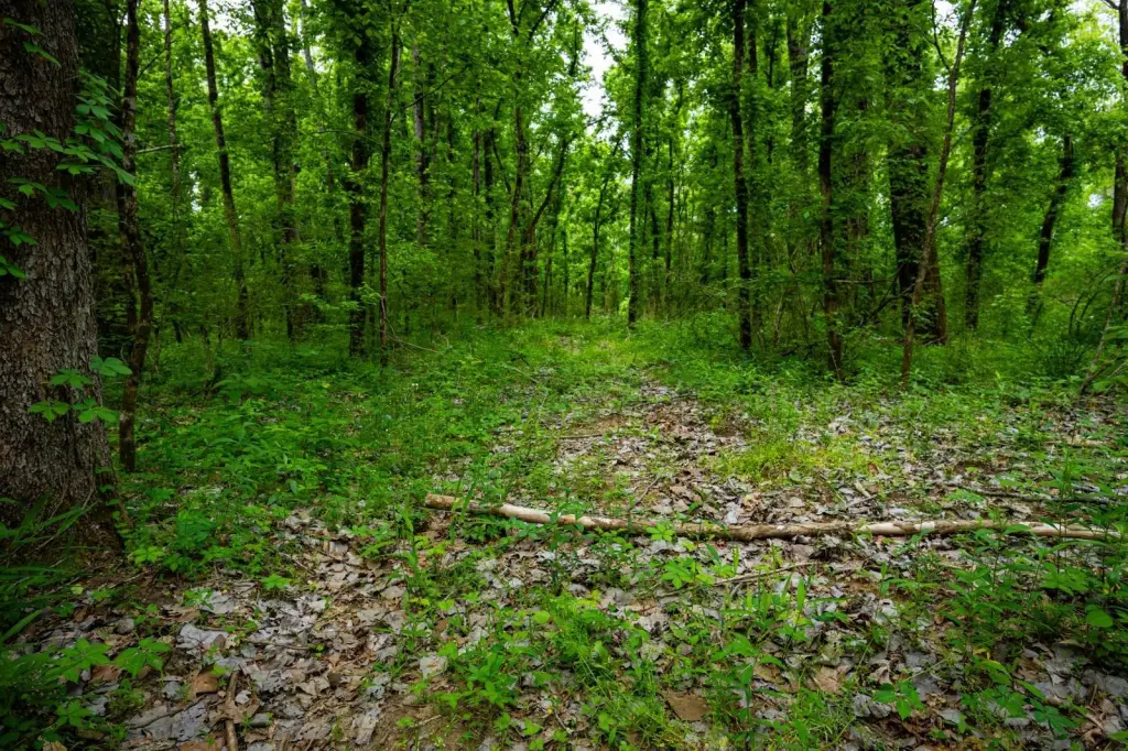 Picture 26