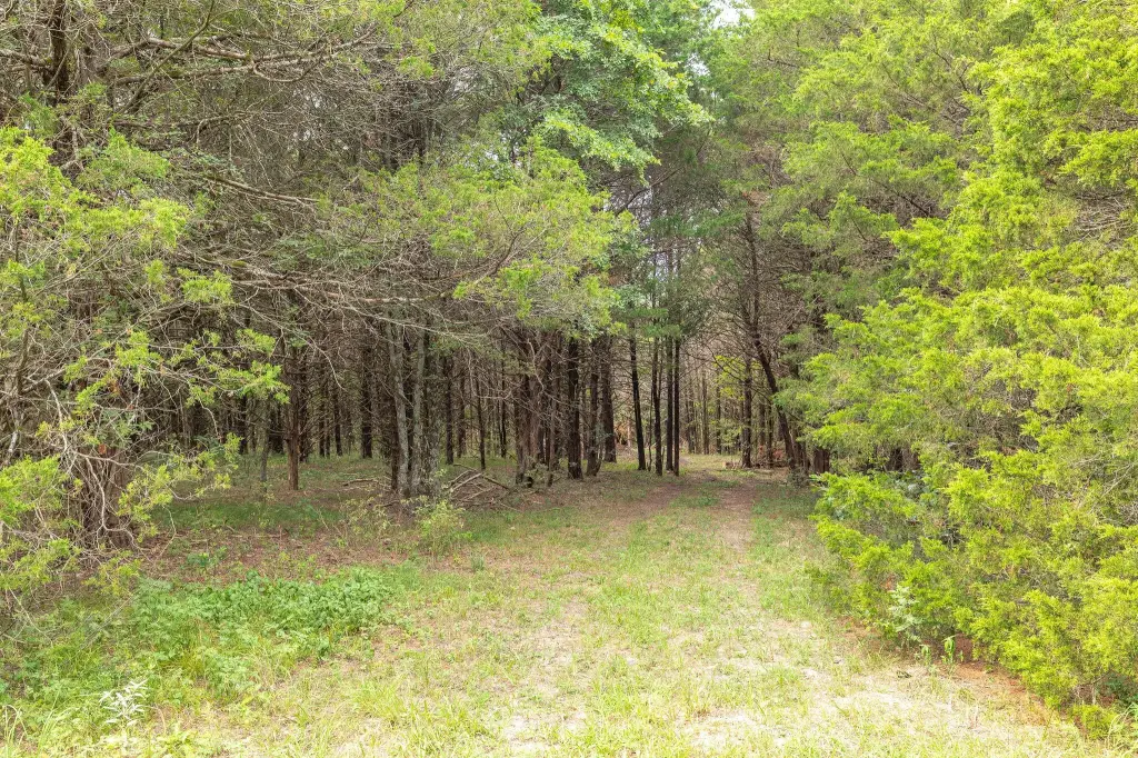 Picture 25