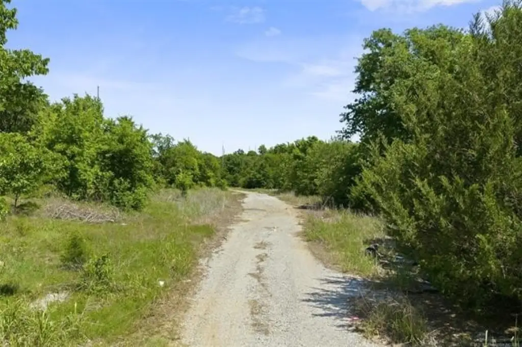 Picture 6