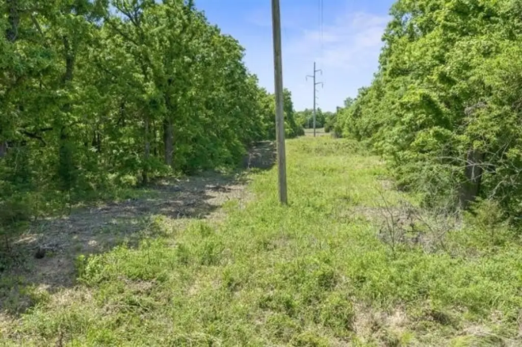 Picture 17