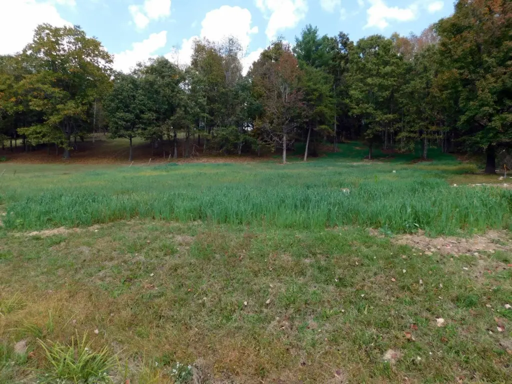 Picture 19