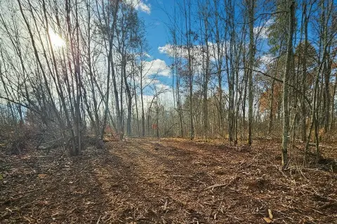 Wooded Land Near Webster, WI