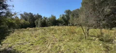 Cleared Vacant Lots in Inverness