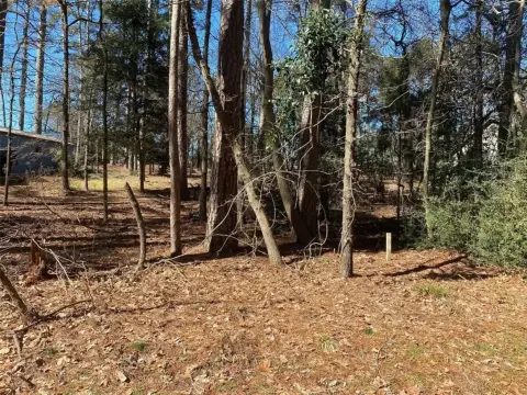 Residential Lot in Holly Lake