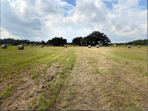 Agricultural Land in Lithia, Florida