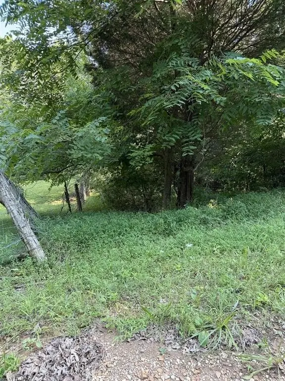 Picture 4