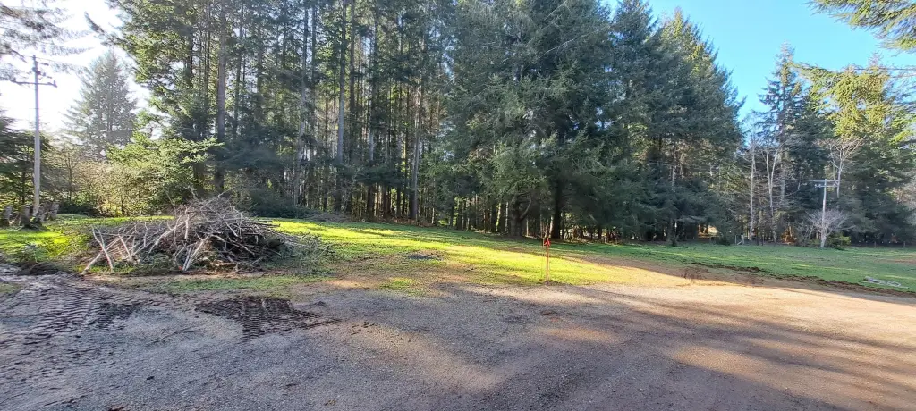Picture 3