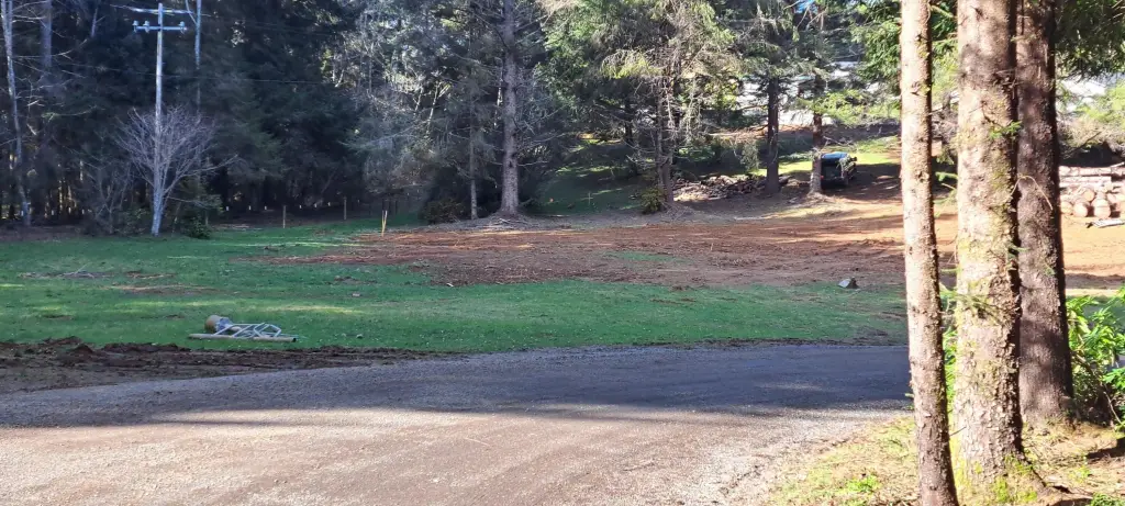 Picture 16