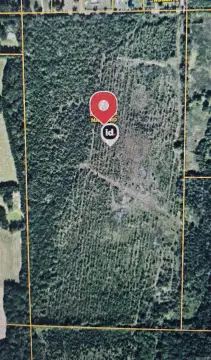 80 Acres in Vilonia, Arkansas