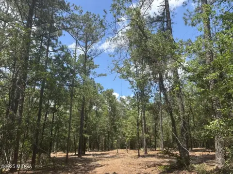 Heavily Wooded Residential Acreage
