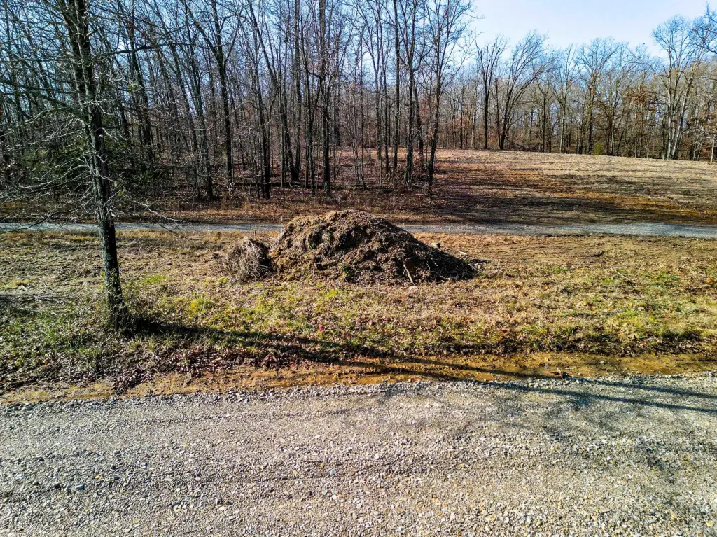 Picture 8
