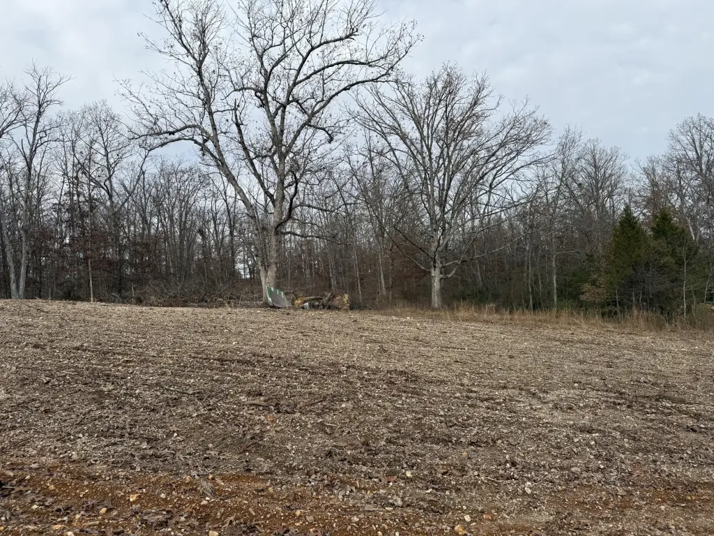 Picture 12