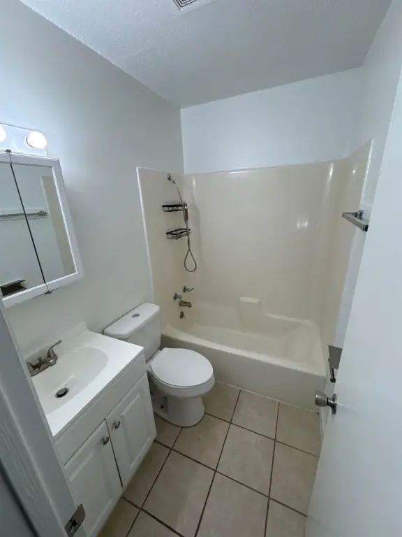 Picture 12