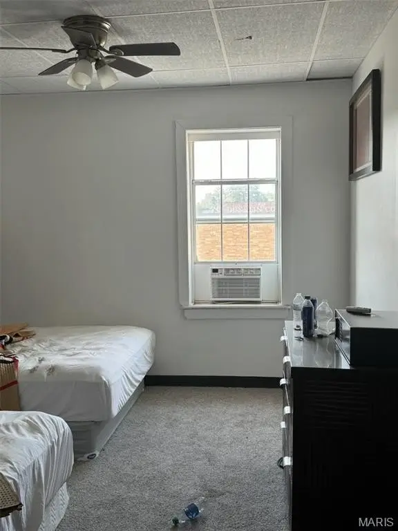 Picture 7