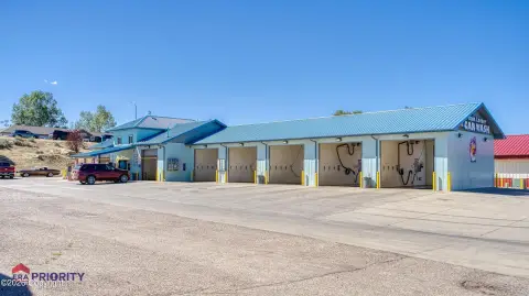 Car Wash with Dog Spa