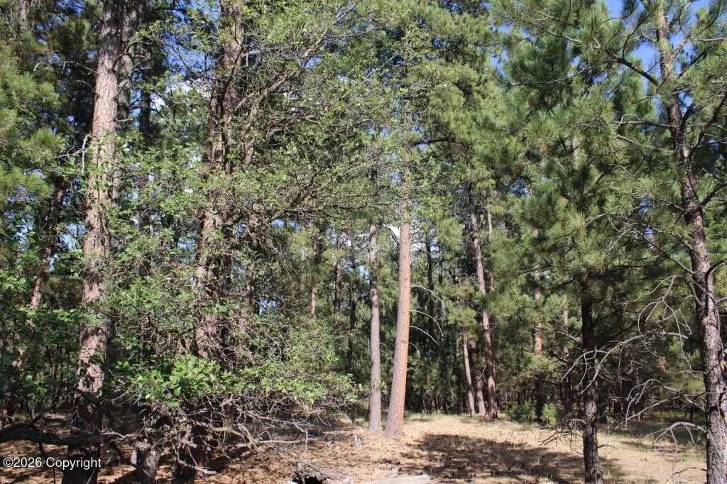 Picture 47