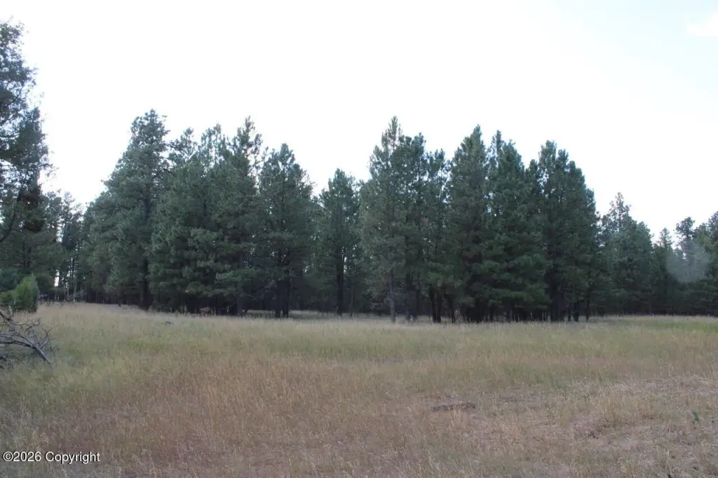 Picture 40