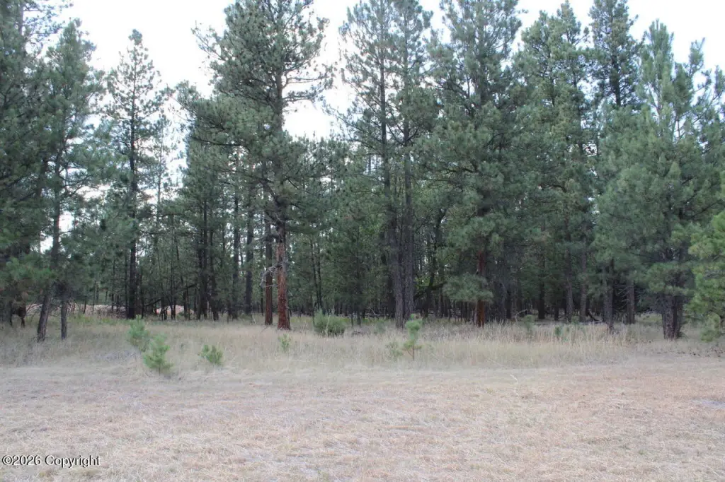 Picture 49