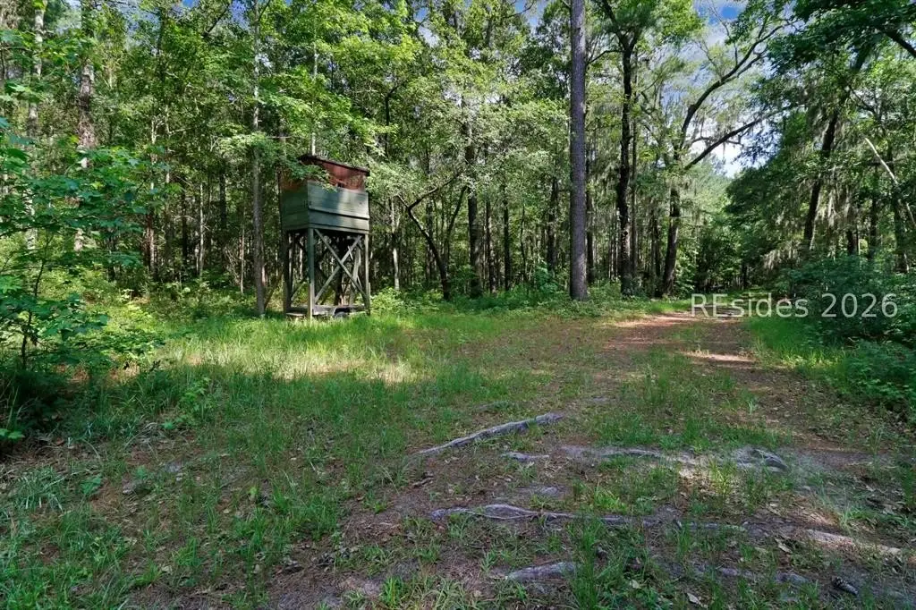 Picture 28