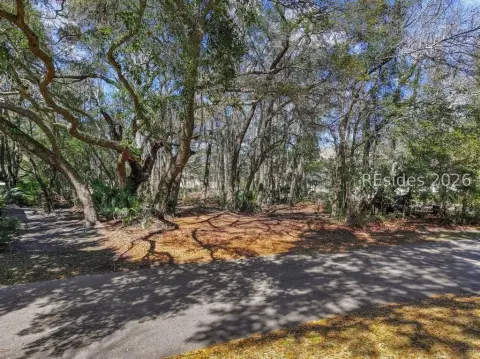 Hilton Head Golf View Homesite
