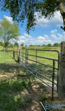 64 Acres in Section, Alabama