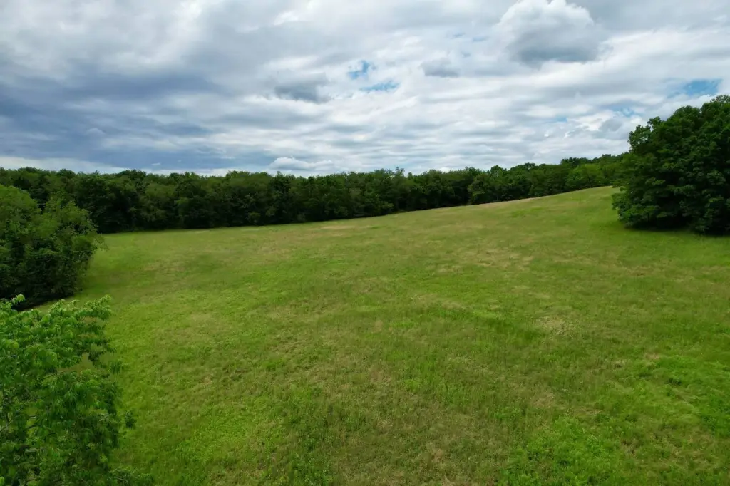 Picture 46