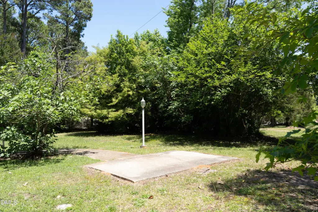 Picture 11