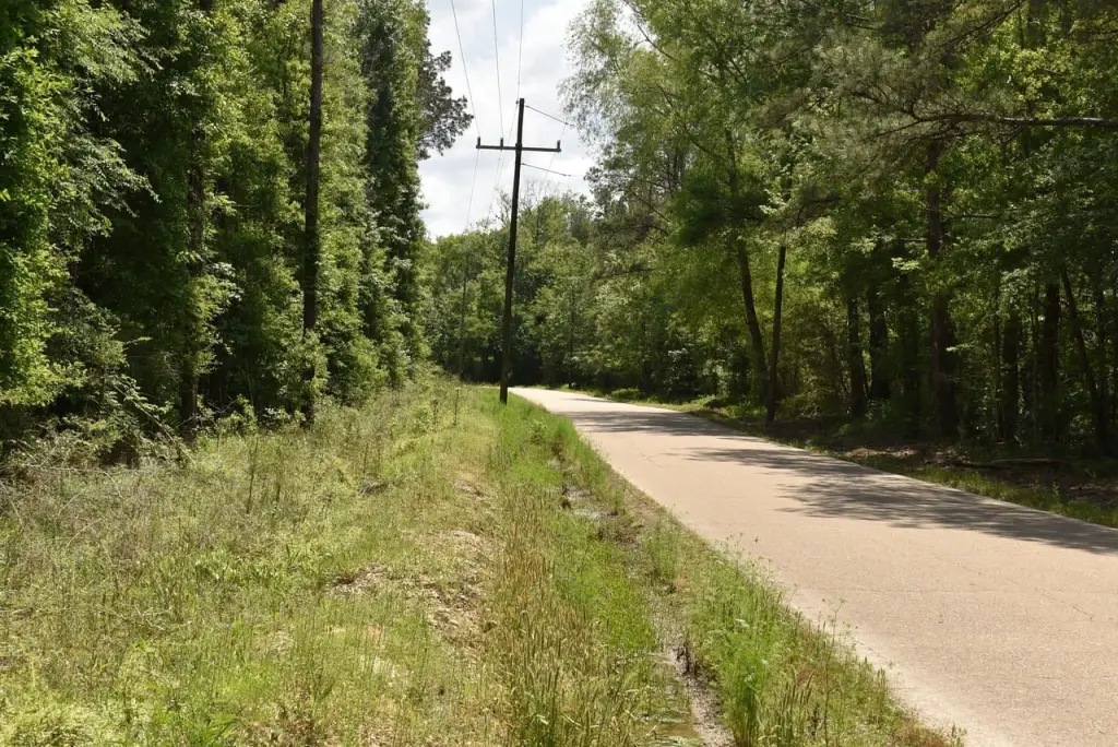 Picture 18